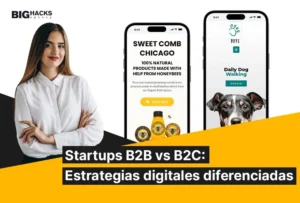 startups B2B B2C