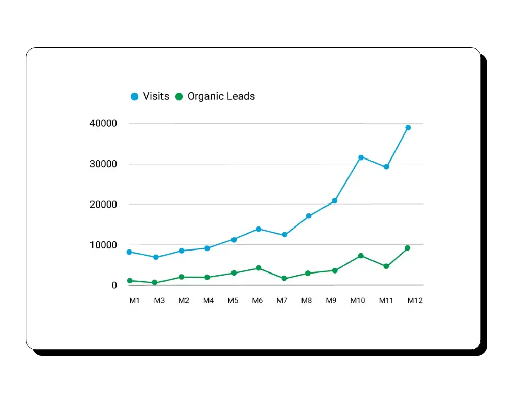 gráfica de visitas y leads