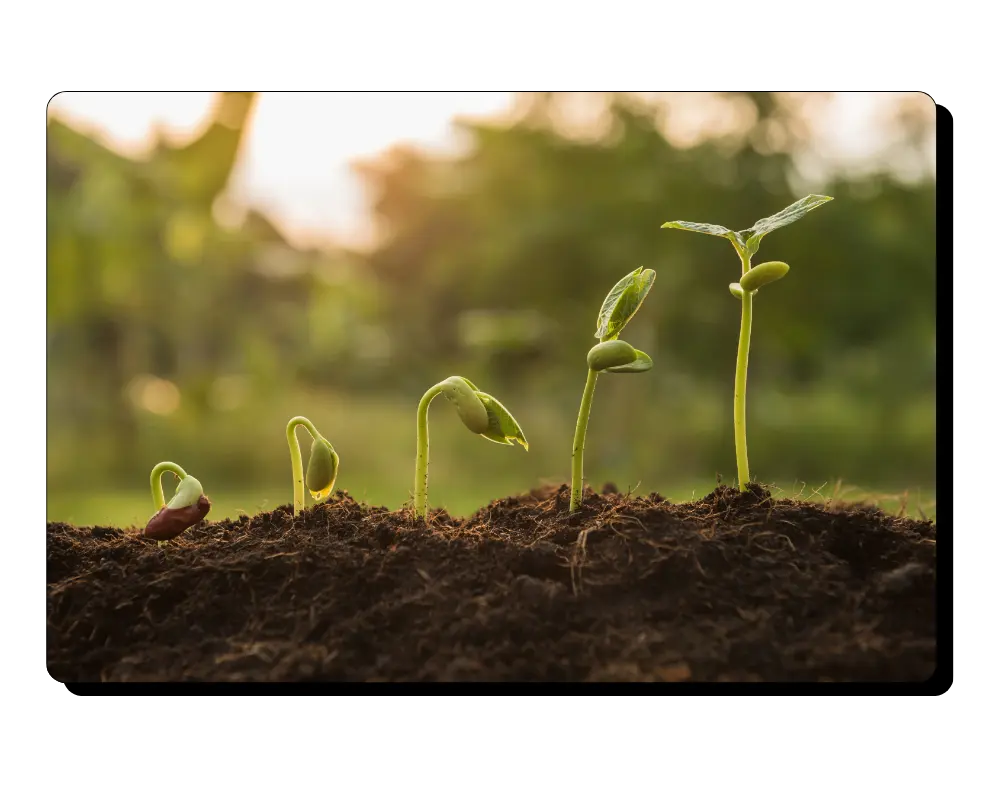 crecimiento exponencial seo