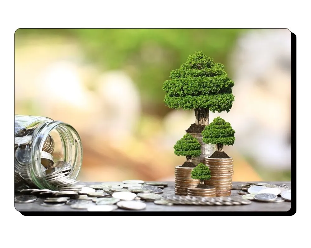 retorno de inversion ROI