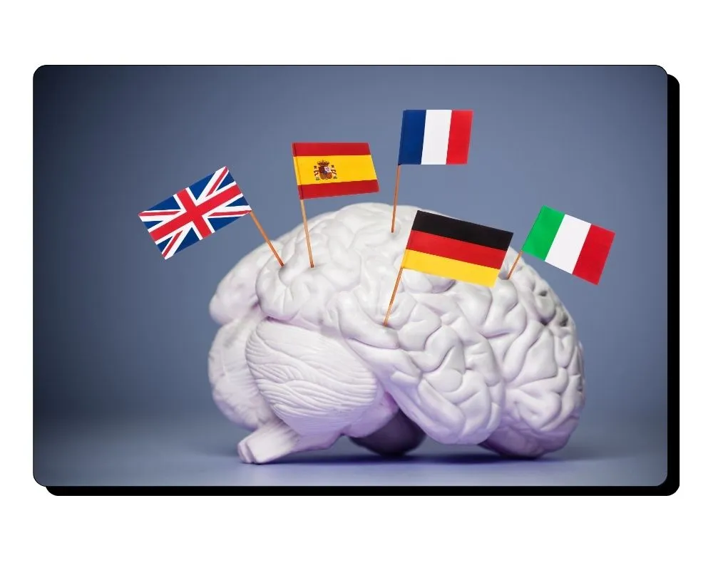 optimizacion multilingue